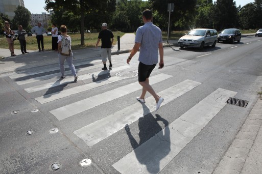 Okos zebra a gyalogosokért